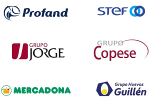 Empresas en las que ha automatizado y puesto en marcha procesos industriales Abel Dom&iacute;nguez:- Profand
- Stef
- Grupo Jorge
- Grupo Copese
- Mercadona
- Huevos Guill&eacute;n